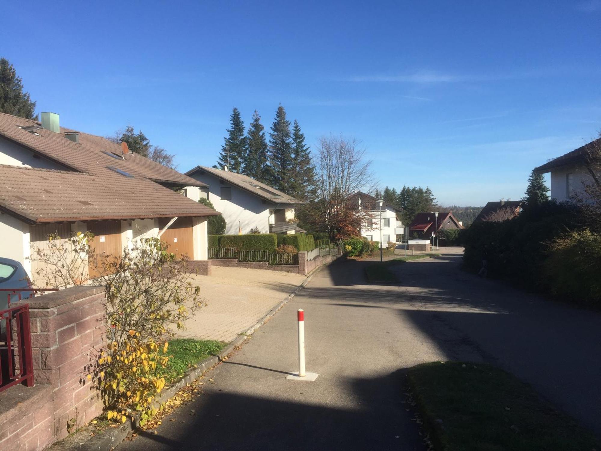 Ferienwohnung Kuckuck Auf Dem Sommerberg Incl Schwarzwaldcard Plus - 2 Zimmer 50Qm 巴特维尔德巴德 外观 照片